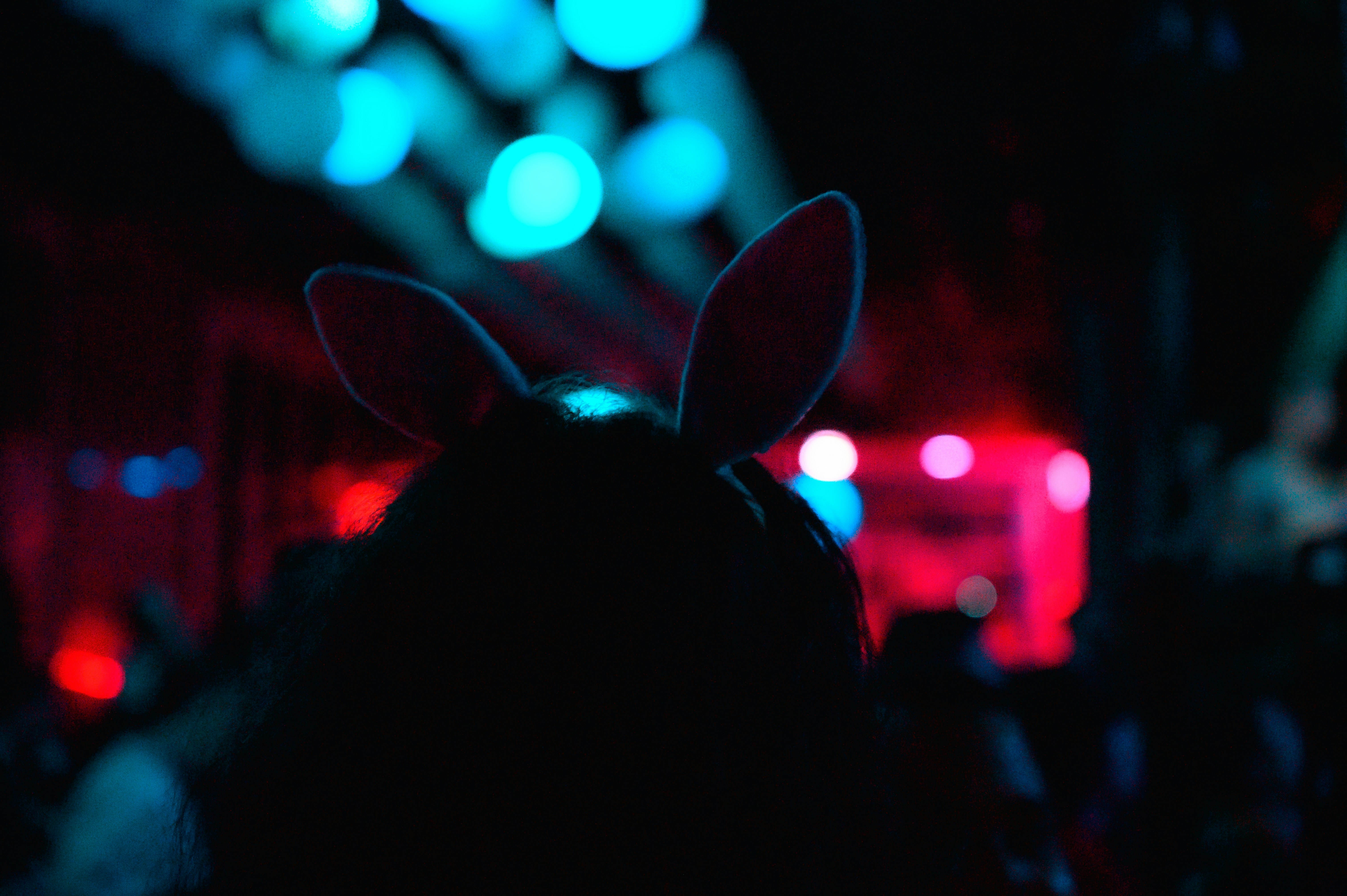 a silhouette of a person with bunny ears in the dark