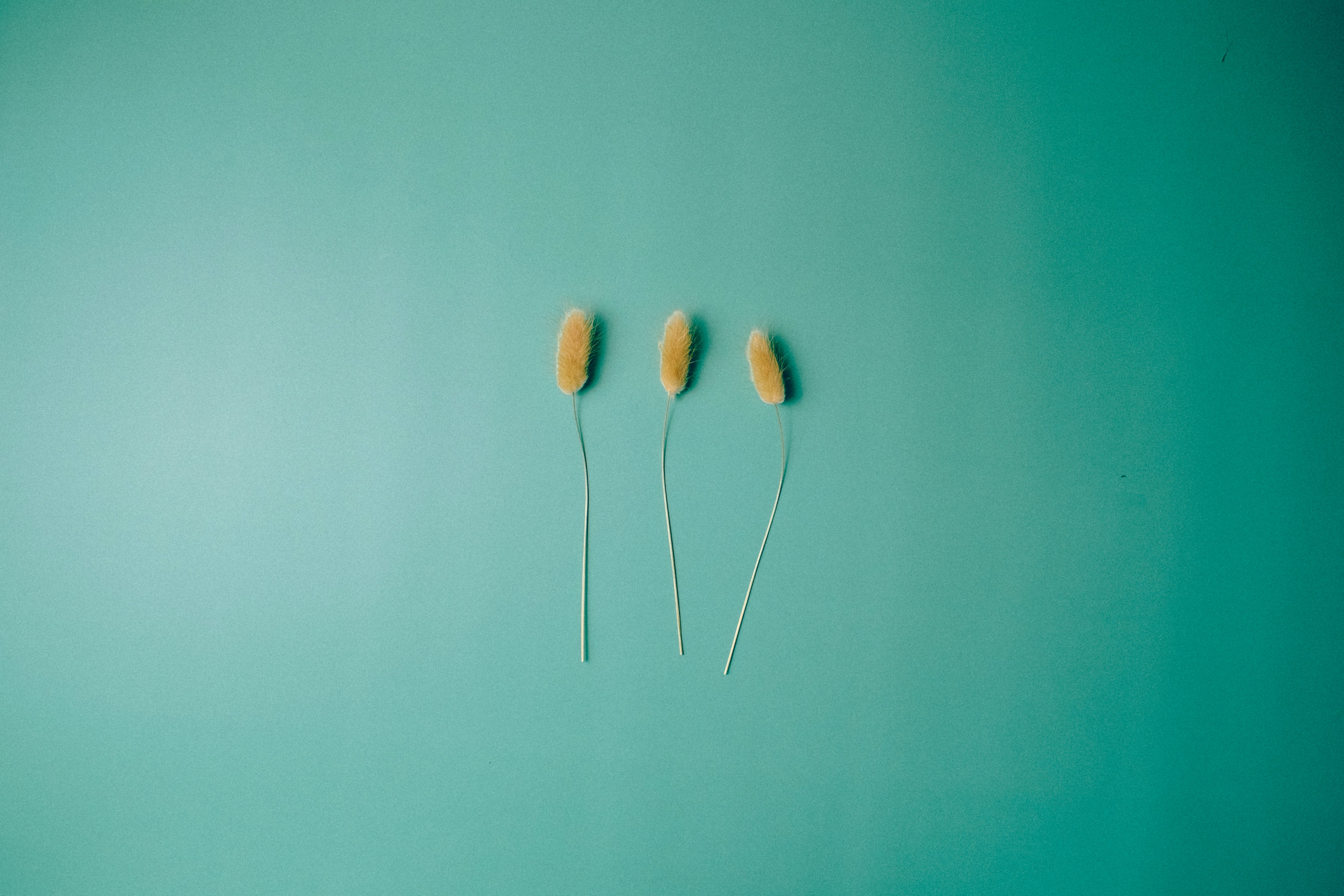 Make It Stick: Your First 30 Days with New Hearing Aids