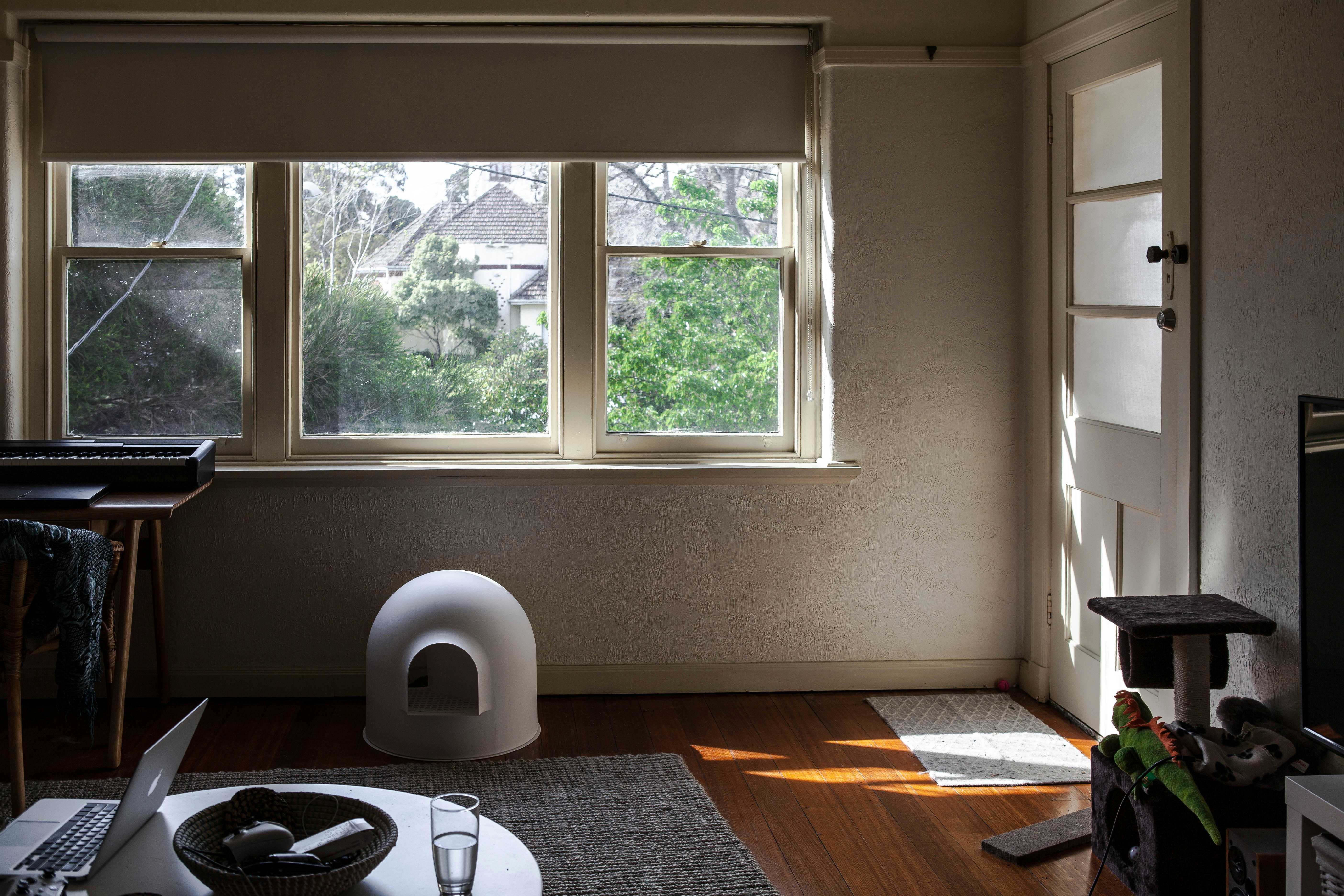 Rooms That Listen: Design Your Home for Easier Conversation and Calmer Ears