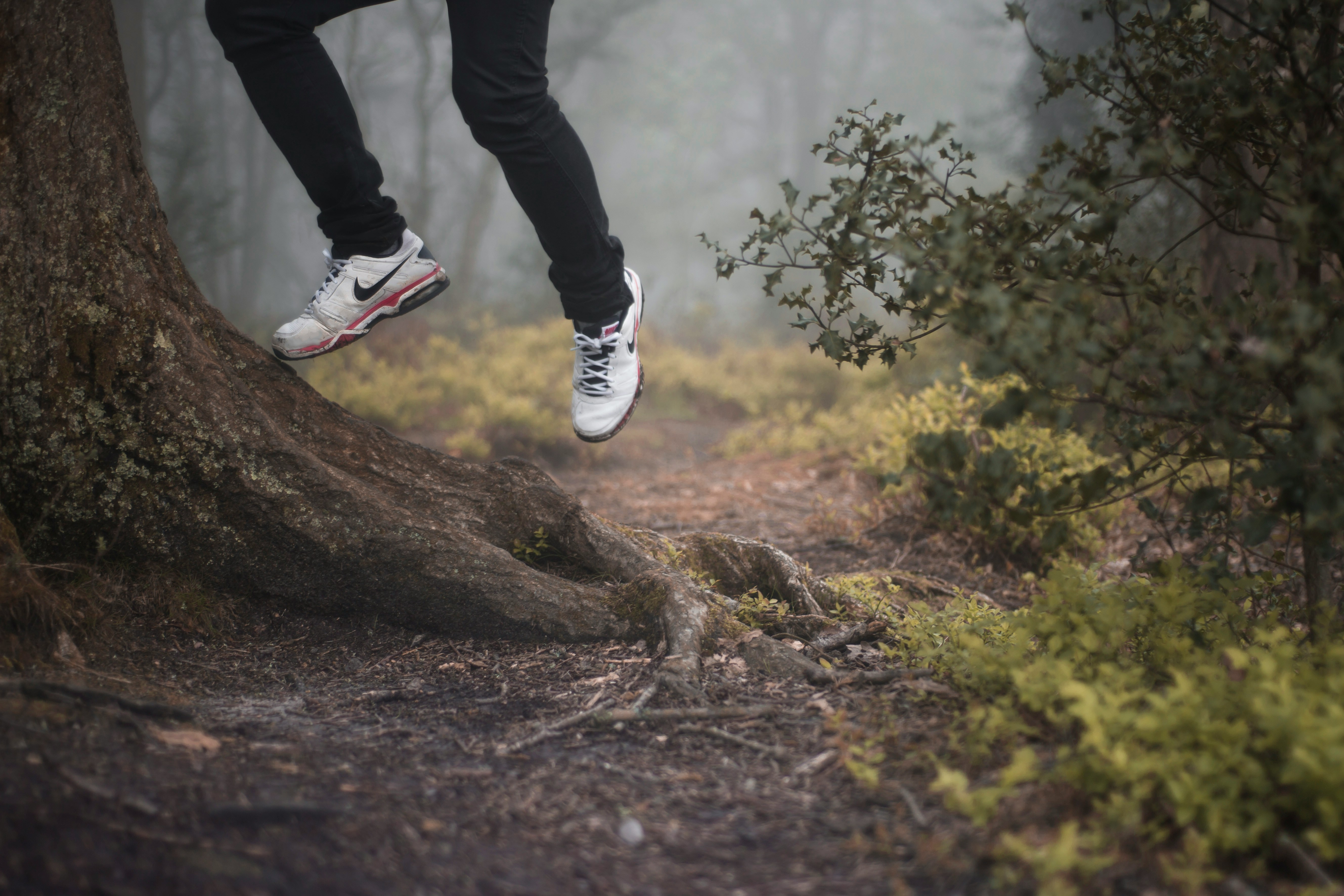 Hear Your Step: The Hearing–Balance Link and How to Cut Fall Risk